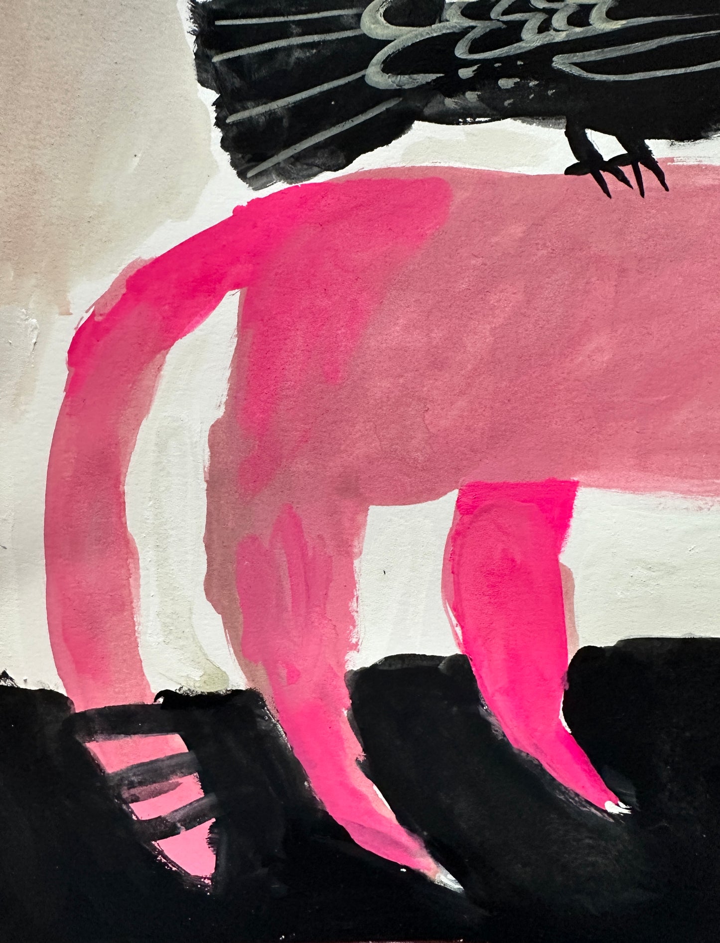 PINK CAT & PIGEON