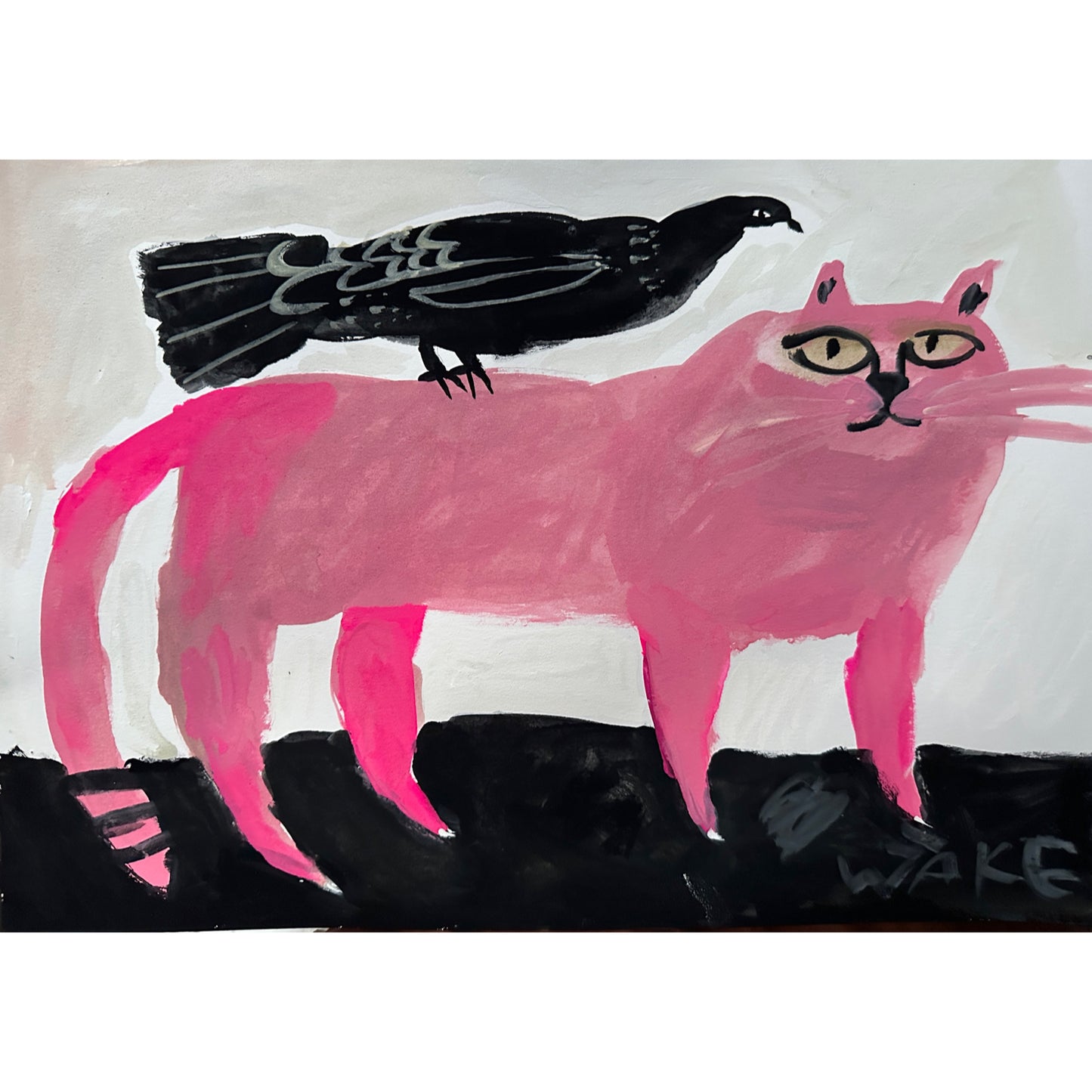 PINK CAT & PIGEON