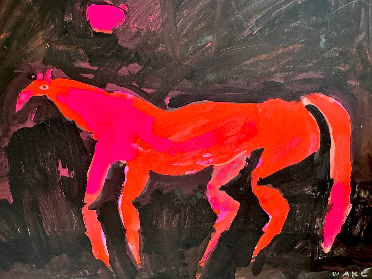Horse in no-where