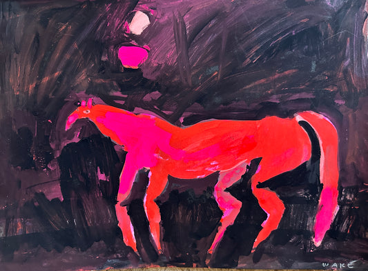 Horse in no-where