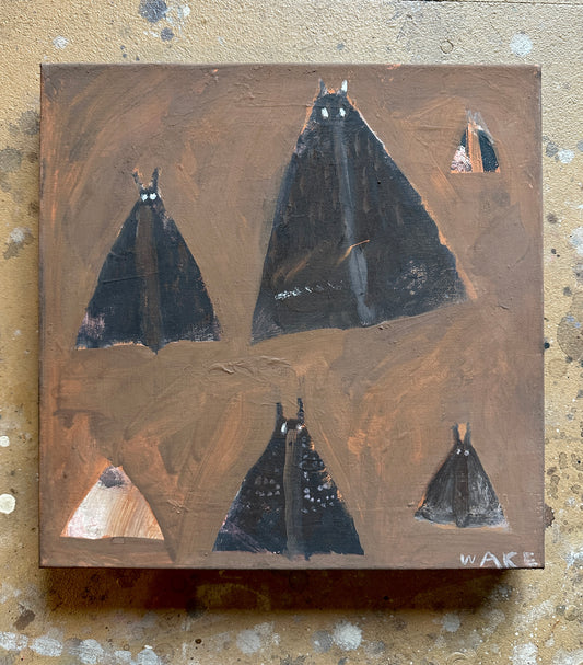 Moths in semi dark places