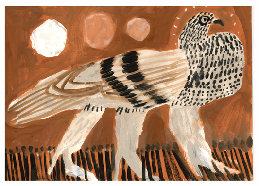 PIGEON WITH THREE ORBS